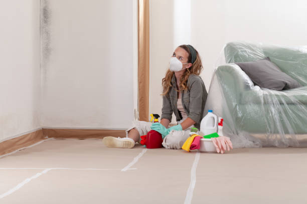 Reliable Mold Remediation contractor in Rockville, MD by Cheap Mold Removal